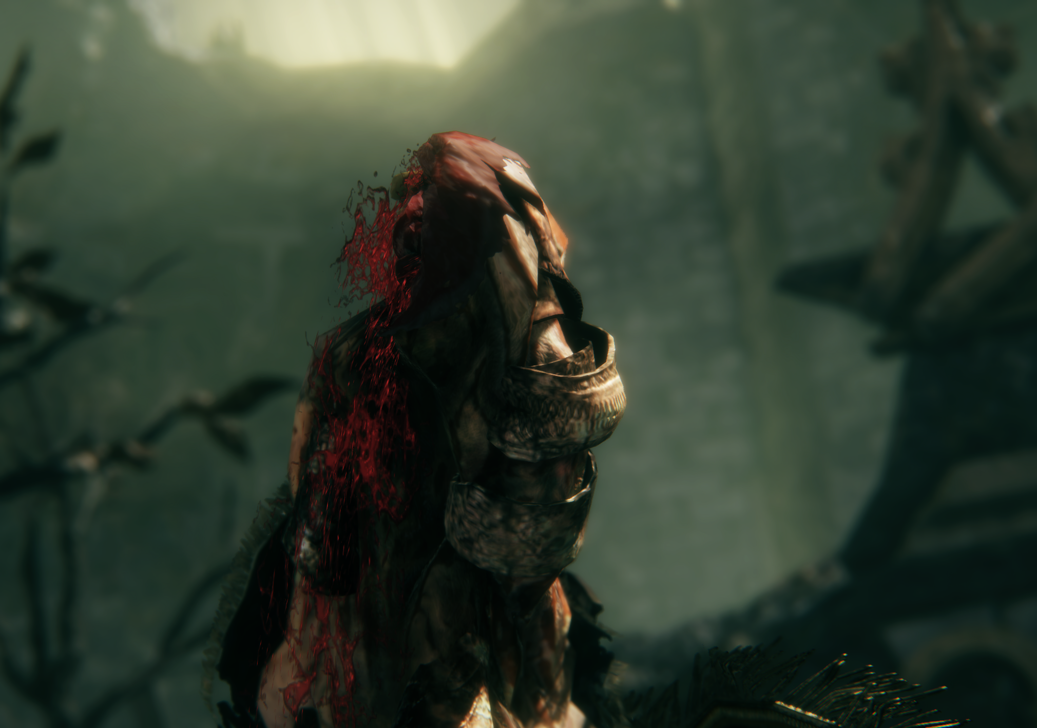 Media/elden ring godrick fight 1.png