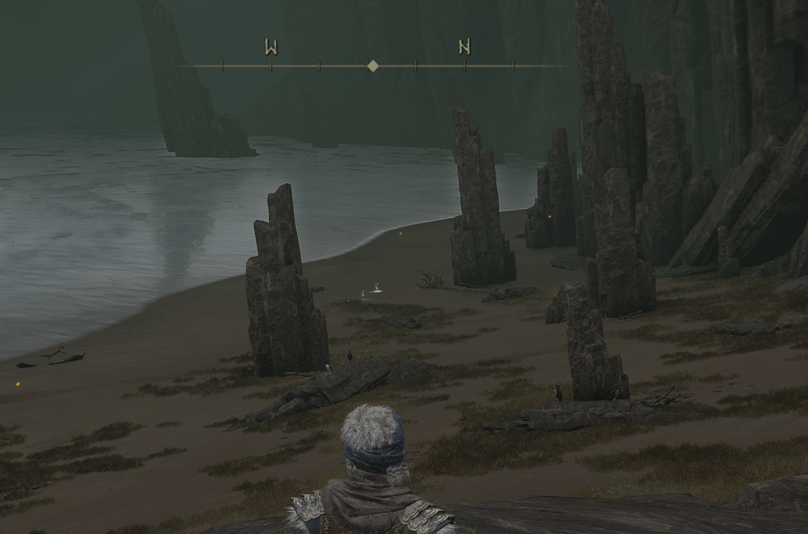 Media/ELDER_RING_invisible_beach_1.png