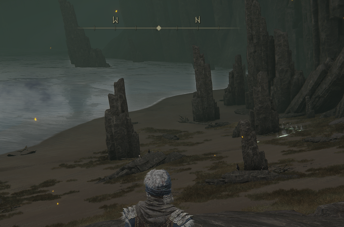 Media/ELDER_RING_invisible_beach_2.png