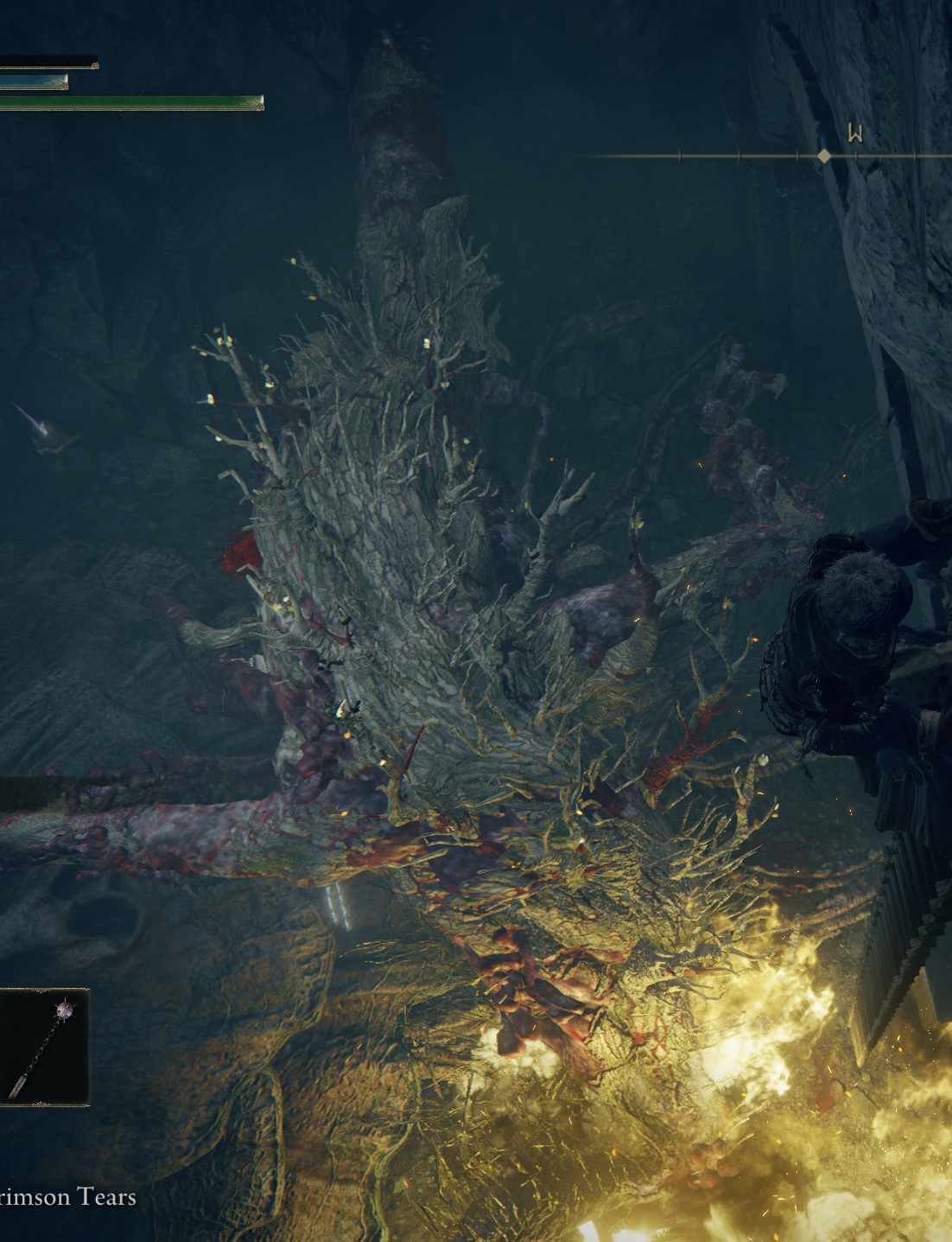 Media/Log - 2024-12-28 - Creature Uknownn Spitting Fire.png